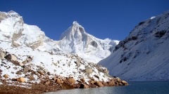 士兵體能超弱中共軍隊猴腦研究露餡(圖)