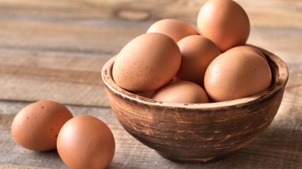 蛋壳的钙质从哪里来？