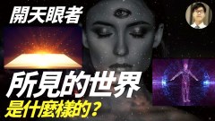 “真实”或“虚拟”特异功能眼中的世界(视频)