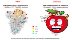 Omicron变异株真面目罗马儿童医院发布首张图片(组图)