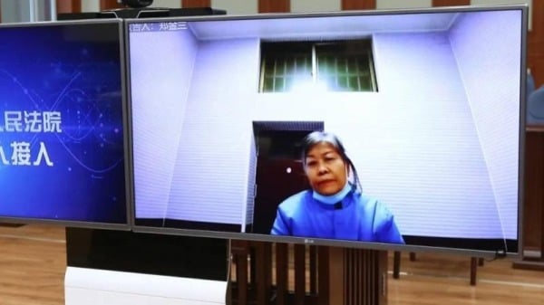 郑金兰通过远程视频受审。（图片来源：网络）