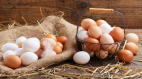 每天早晨吃鸡蛋身体明显出现3个好处(组图)