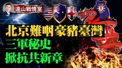 美軍超級魚雷配備臺灣共軍難吞豪豬(視頻)