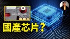 【东方纵横】中国芯片国产有望(视频)