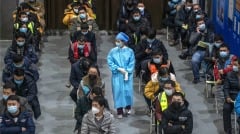 「今年我癌了老公也癌了」大陸網友嘆：才30幾歲(組圖)