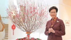 林郑新春贺辞丈夫林兆波再次无踪影(组图)