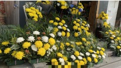 武汉菊花脱销官宣遭民痛斥：无德媒体(组图)