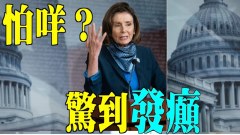 唐柏橋：民主黨怕什麼恐懼到發狂(視頻)
