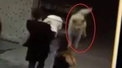 天降大狗砸瘫广东女法院判处惹争议(视频图)