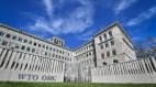 加入WTO已20年中共食言记录(图)
