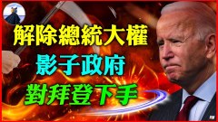 川爷党内整顿白等核按钮要被收回影子政府卸磨杀败等(视频)