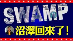 【东方纵横】沼泽回来了(视频)