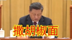 脫貧大會習總又出包卡殼3秒冒出「撒胡椒面」(圖)
