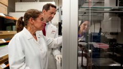 牛津大學Covid-19實驗室被黑客入侵(圖)