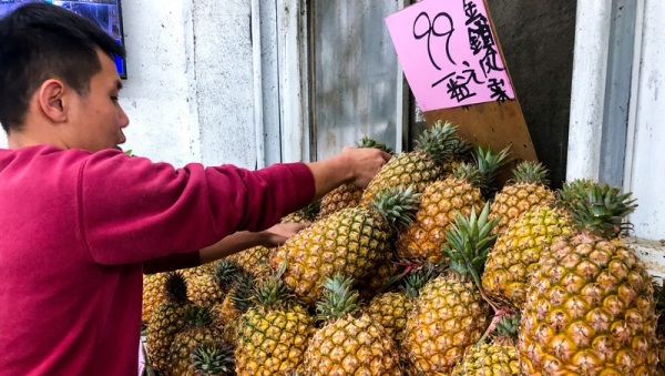 中國海關總署26日發布公告稱，自3月1日開始暫停進口台灣的鳳梨，然而律師呂秋遠卻點出看似危機的背後。資料照。