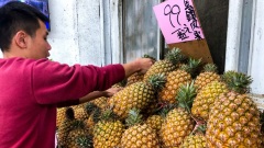 北京封杀台凤梨吕秋远点破危机的背后(图)