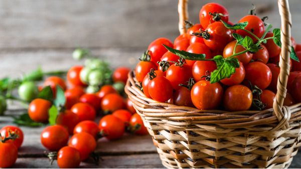 樱桃番茄中维生素PP的含量居果蔬之首，可保护皮肤，促进红细胞生成。