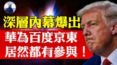 驚天內幕浮出水面中共果然是幕後黑手(視頻)