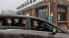 WHO顧問：壓倒性證據指Covid-19病毒來自實驗室(圖)