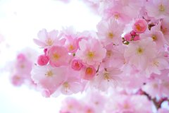 四个迹象人生遇到一个准翻身(图)