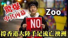【驚人內幕】流亡澳洲的中國手足大爆料(視頻)