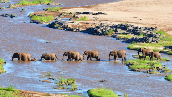 坦桑尼亚塞伦盖蒂国家公园(Serengeti National Park)