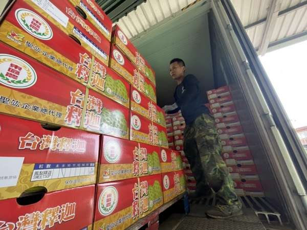 台東鳳梨釋迦主要市場在中國，為了分散風險，台東地區農會積極地擴展市場，17日首批鳳梨釋迦出貨、運送杜拜