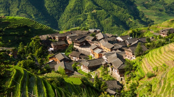 杨凤仙居住在农村里。