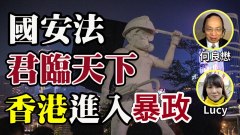 何良懋：國安法君臨天下香港進入暴政時代(視頻)