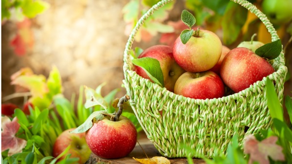 苹果中的果胶有助于助排便，可以刺激肠内益生菌群的生长。