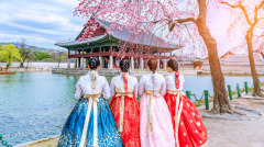 俄罗斯人眼中的10个“韩国文化”(图)