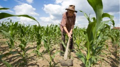 古代魔術家化物成金屍解移位(圖)