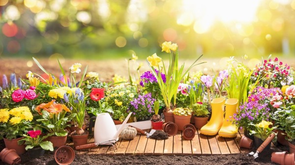 春天應該順應時節，掌握春令之氣生發的特點，保健體內的陽氣。