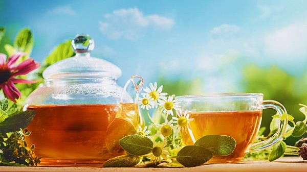 常喝点绿茶，对身体健康是很有好处的，尤其是对降血脂的效果很好。