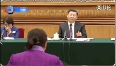 女代表用「廁所」當面奉承習近平尷尬了(圖)