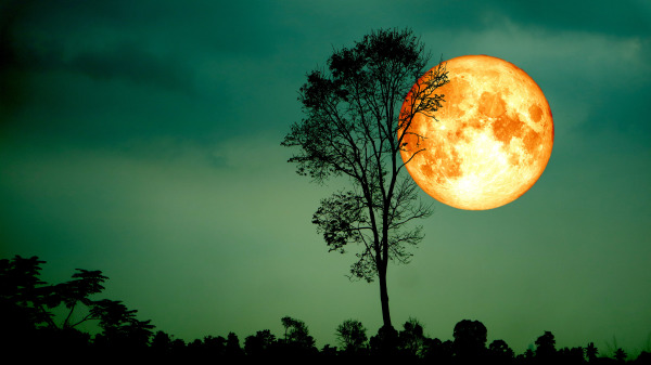 「血月」都被認為是很凶險的天象，它的出現恐招致天災人禍。