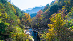 清僧叹一声出一句预言没有不应验的(图)