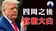 为何亚利桑那州勇于挑战“多猫腻”(视频)