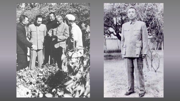 左圖：陶鑄（左一）陪同周恩來、劉少奇、羅瑞卿視察廣東省胡椒園。右圖：陶鑄。