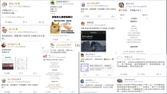網友奇招談趙婷巧避中共全網封殺(圖)
