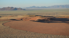 非洲神秘仙女圈植物圍繞這些怪圈而生(圖)