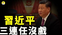 阮成发触怒习近平？u201c小三u201d晋升云南副书记(图) - 李小三- 滇池- 官吏 