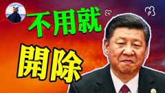 墻國下載量最高的軟件是什麽不用它有可能會被開除(視頻)