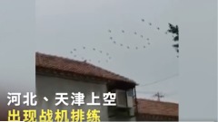 中共建黨百年臨時安排空中閱兵官方沉默(圖)