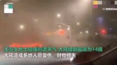 異象北京飛雪上海落冰江蘇暴風飛機自轉(視頻圖)