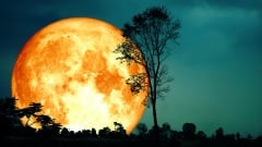 抬頭即見「耀眼太空船」揭開意外的星際之謎(組圖)