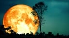 抬头即见“耀眼太空船”揭开意外的星际之谜(williamhill官网
)