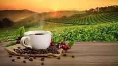 26种真正的抗癌食物美国癌症研究所告诉你(组图)