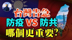 臺灣告急黨媒以認知戰打擊臺灣；防役與防共孰重孰輕(視頻)