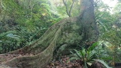 超讽刺俄官员：“中国老大哥”窃境内珍稀资源(图)